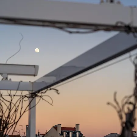 T1 Oasis With Amazing Terrace Lisbona