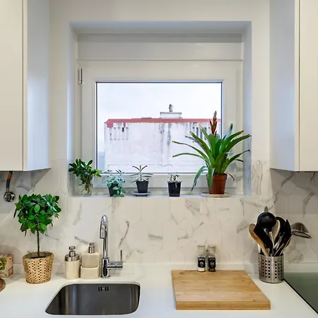 T1 Oasis With Amazing Terrace Lisboa